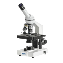 mikroskopas binokuliarinis